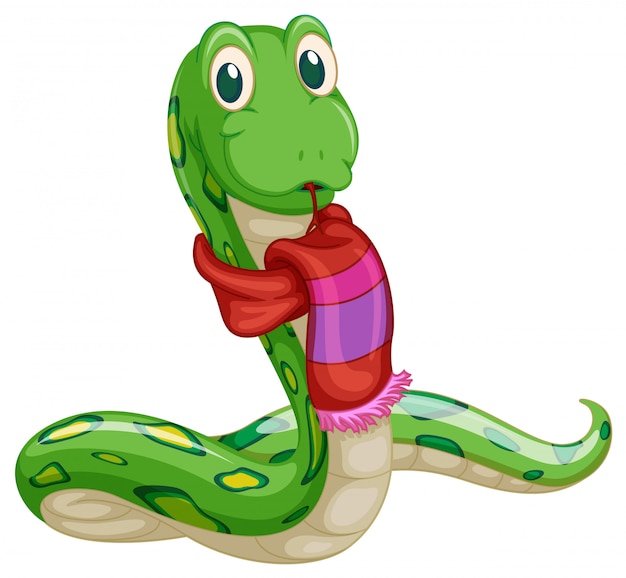 Vector snake with scarf on white