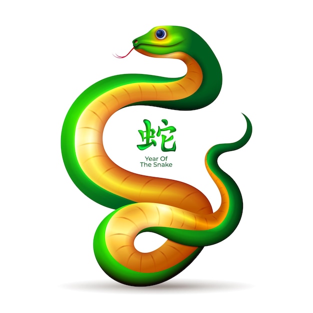 Snake Zodiac Sign Symbol of Chinese new year 2025 with green and golden color