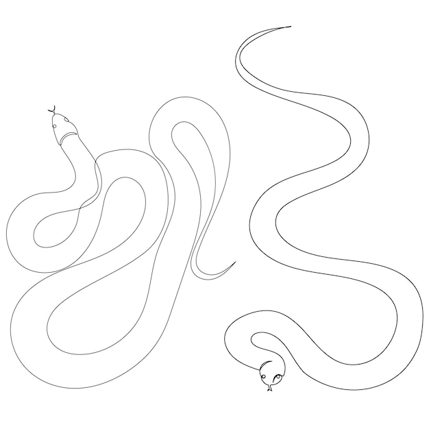 Snakes drawing in one continuous line isolated vector