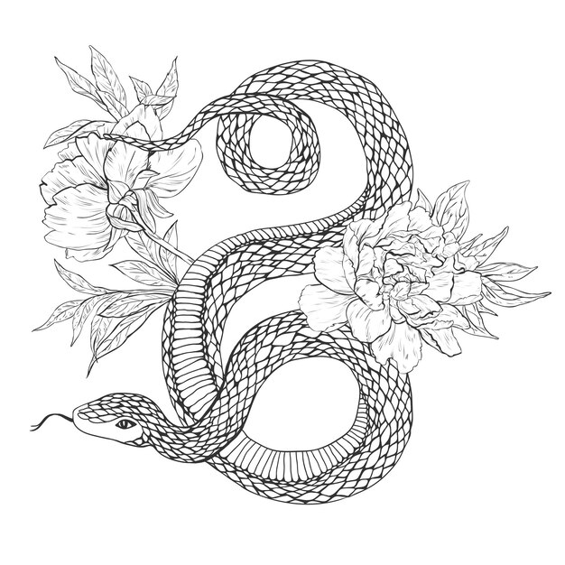 Vector snakes and flowers tattoo art coloring books