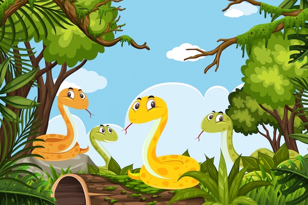 Snakes in jungle scene