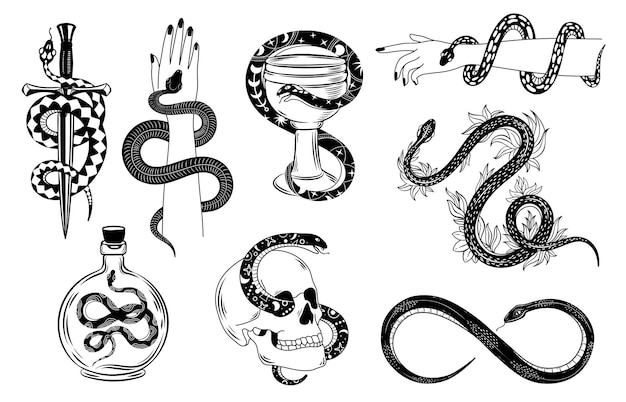 Vettore tatuaggio di serpenti. serpente occulto avvolto intorno a mano, cranio, pugnale, ciotola e veleno. siluetta del serpente in fiori. insieme di vettore di tatuaggi mistici. illustrazione tatuaggio serpente, simbolo di occulto