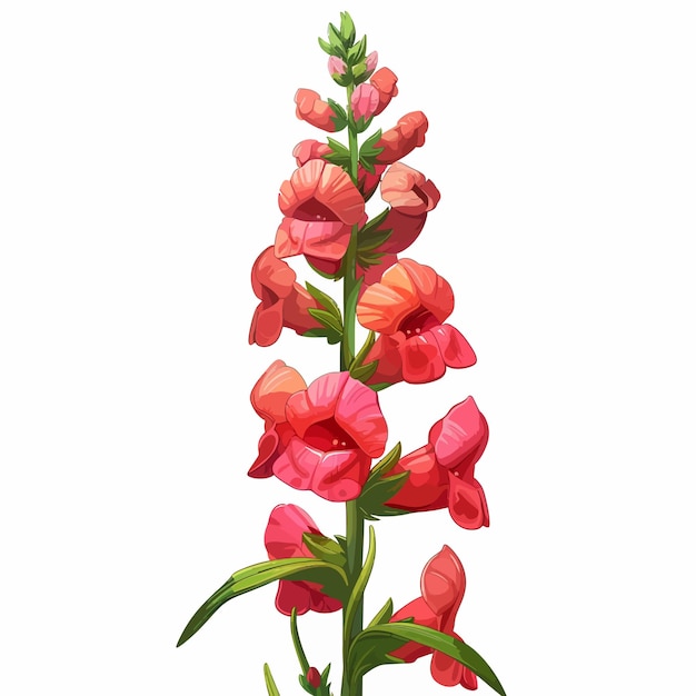 Vector snapdragon flowers