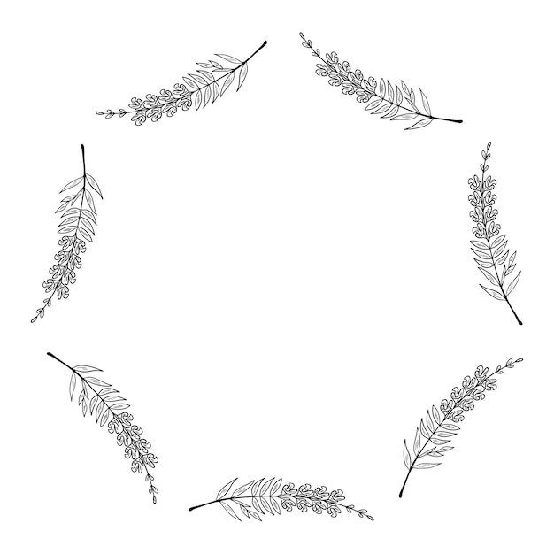 snapdragon frame border set