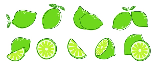 Snijd limoen. verse citrusvruchten, plak en bladeren. geïsoleerde groene citroenillustratie, sappige organische verse detox vitamine vectorillustratie. fruit citroen vegetarisch gesneden, vitamine detox en verfrissend