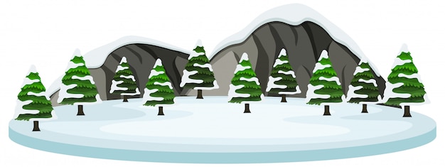 Snow covered tree and moutain scene