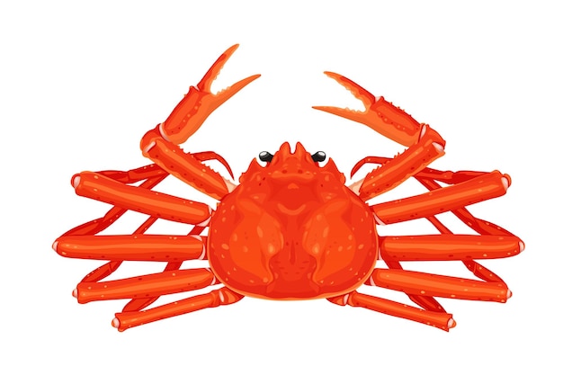 Vector snow crab vector eps 10 background perfect for wallpaper or design elements