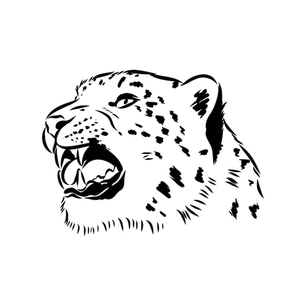 Schizzo di doodle disegnato a mano del leopardo delle nevi nell'illustrazione di vettore di stile di arte di schiocco