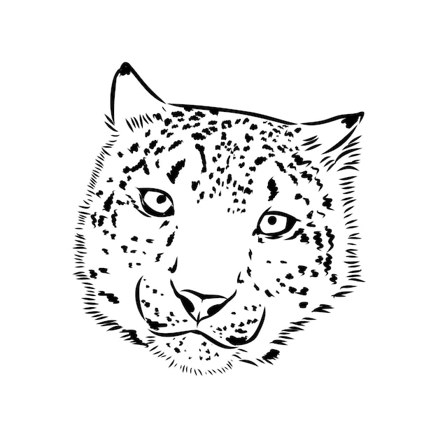 Schizzo di doodle disegnato a mano del leopardo delle nevi nell'illustrazione di vettore di stile di arte di schiocco