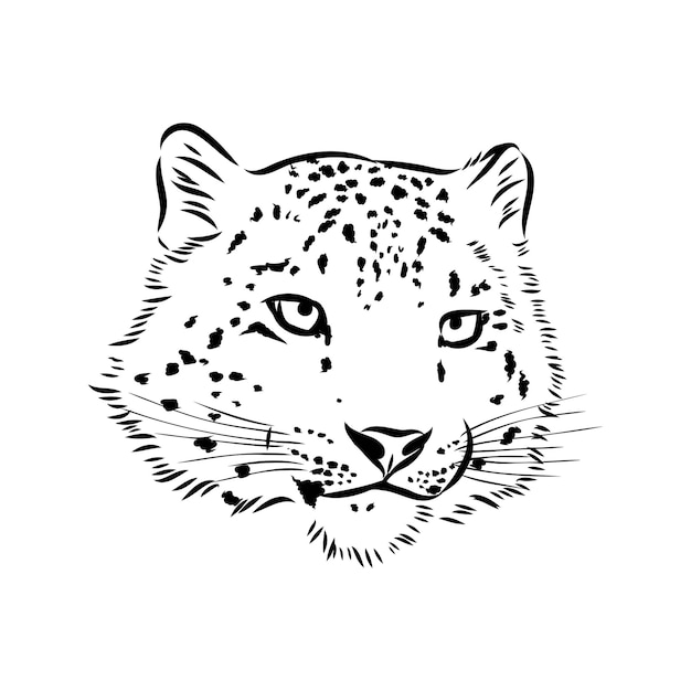 Vettore schizzo di doodle disegnato a mano del leopardo delle nevi nell'illustrazione di vettore di stile di arte di schiocco