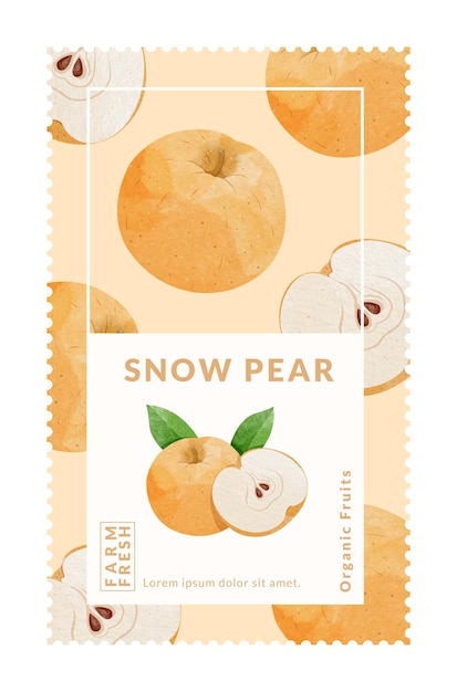 snow pear packaging design templates watercolour style vector illustration