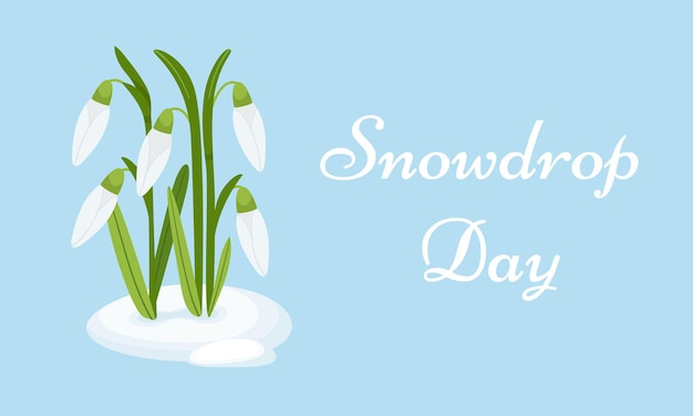 ベクトル スノードロップ・デイデザイン 休日の背景 雪が溶ける中で吹き飛ばされていない芽を持つスノードロップの茂み