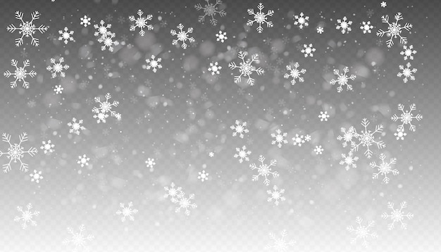 Vector snowfall