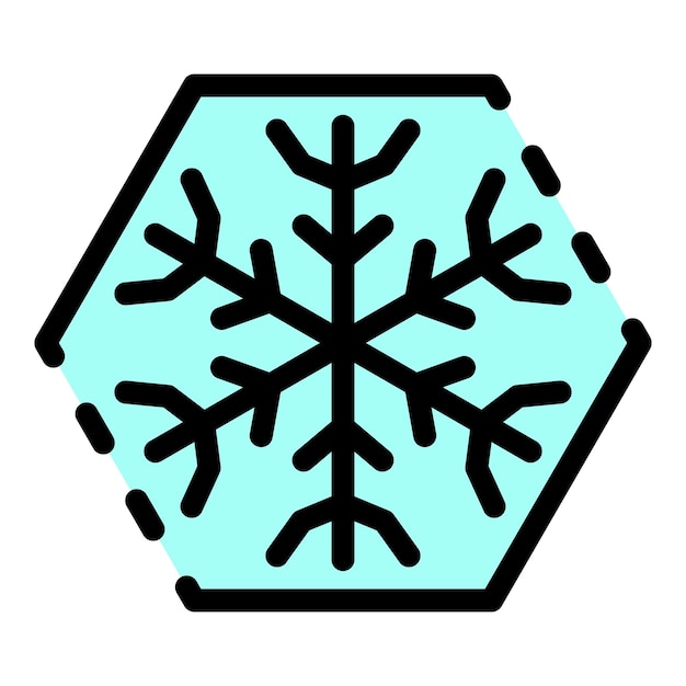 Vector snowflake in a hexagon icon outline snowflake in a hexagon vector icon color flat isolated