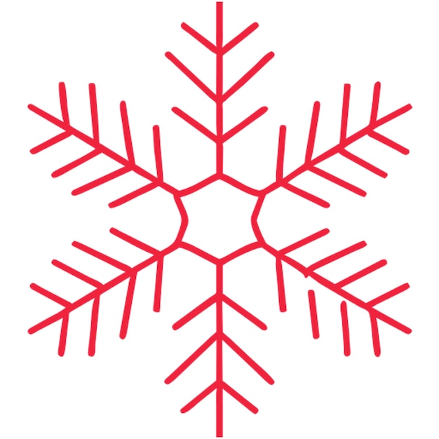 snowflake icon