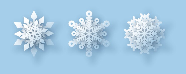 Vector snowflake set. vector illustration.