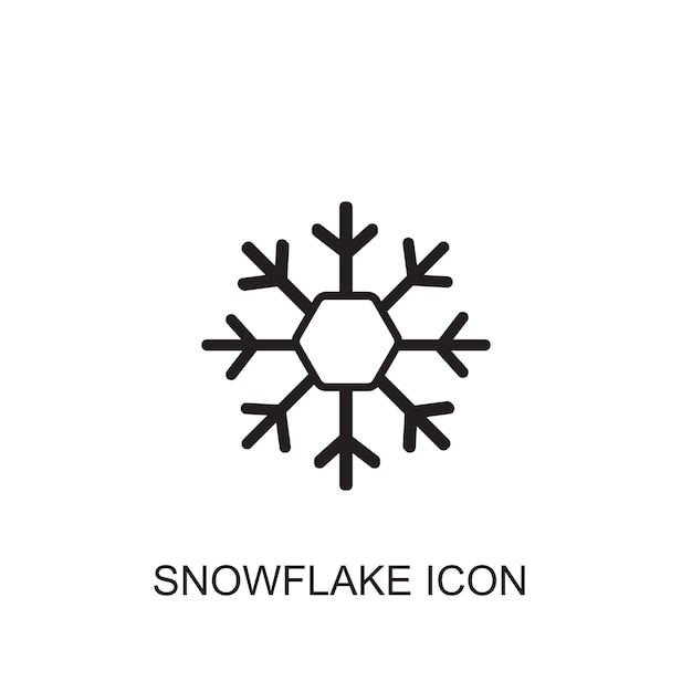 Snowflake vector icon icon