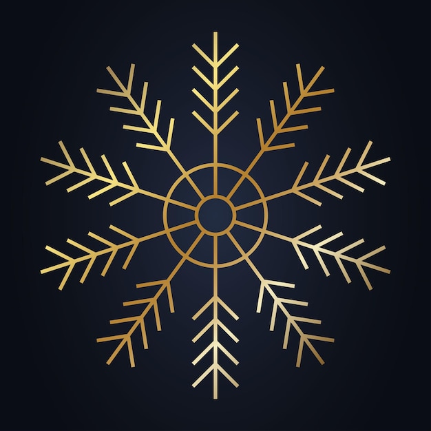 Vector snowflake winter snow vector on background