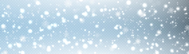 Vector snowflakes on a blue background