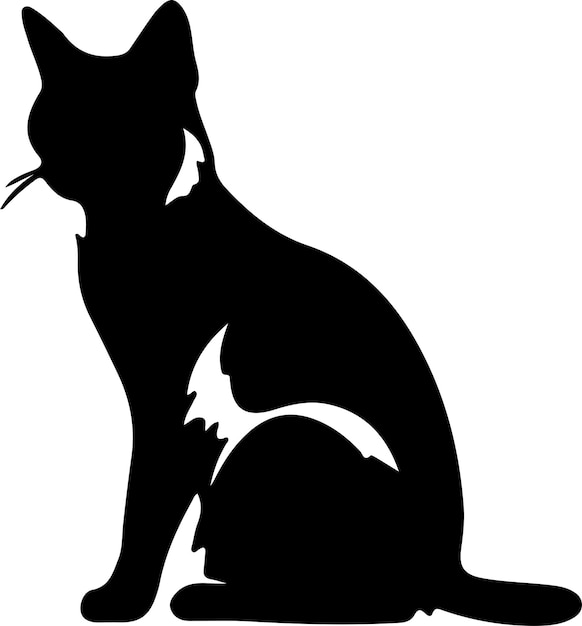 Snowshoe Cat black silhouette with transparent background