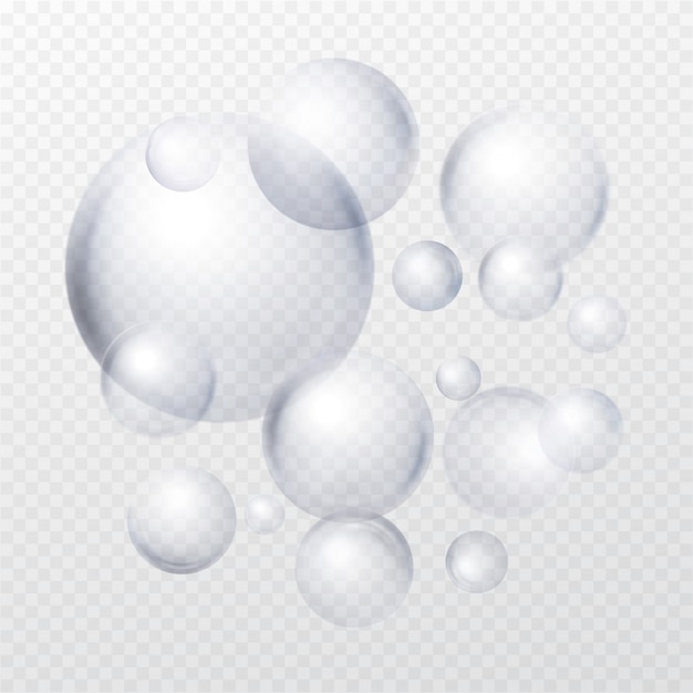 Vector soap bubbles isolated on transparent background.  illustration