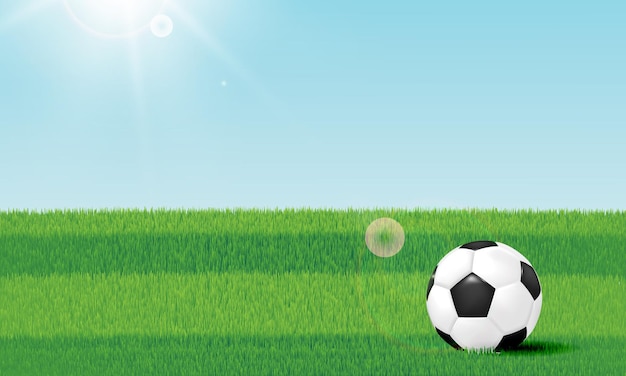 Vector soccer ball or football ball with beautiul background 3d style vector ball illustrator background