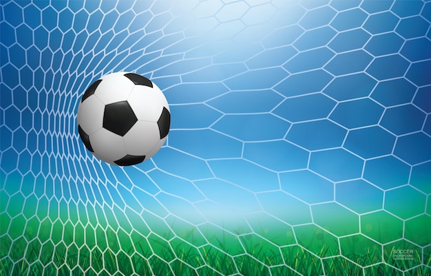 Soccer ball in goal. Football ball and white net with light blurred bokeh background. Vector illustration.