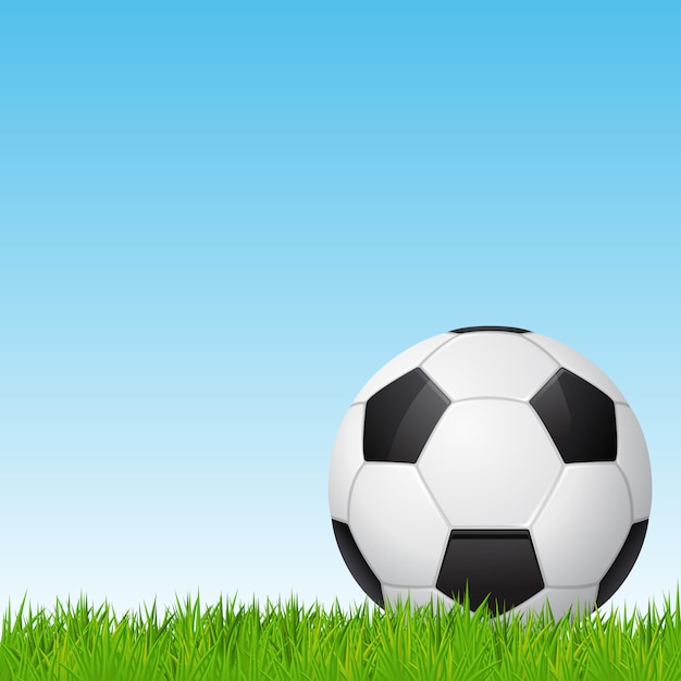 잔디에 축구 공