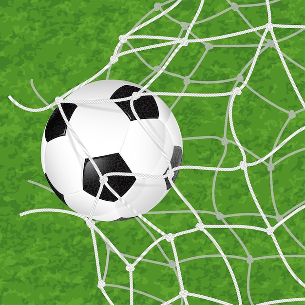 Vector soccer ball in net