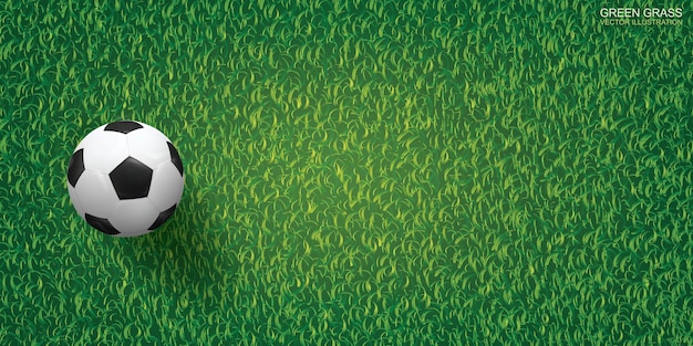 Вектор Футбольный мяч на фоне зеленой травы.
