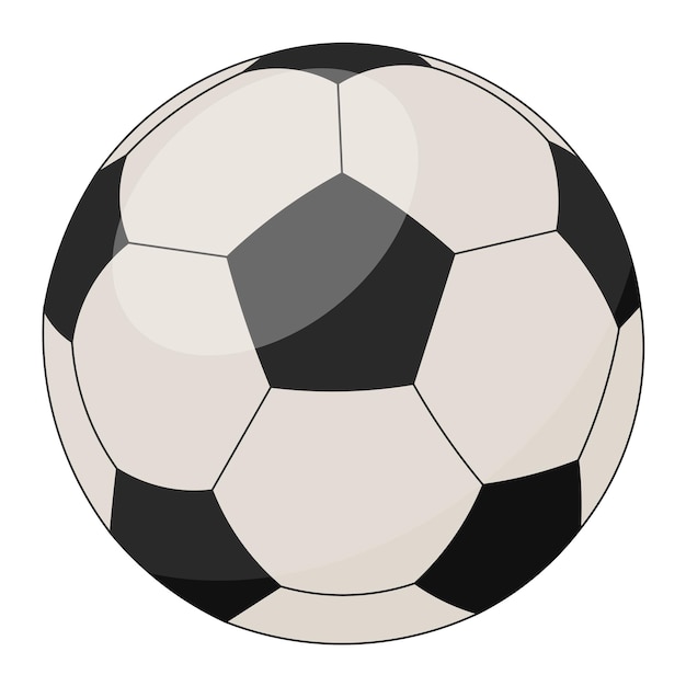 Pallone da calcio per lo sport