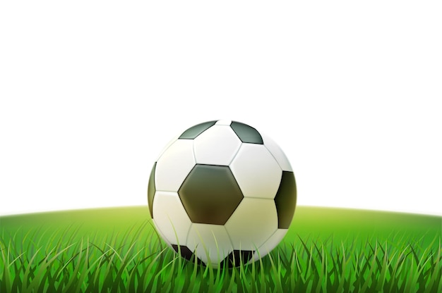 Soccer ball on stadium grass field 3d illustration