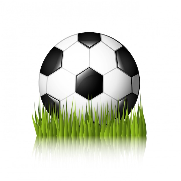 soccer design over white background  vector illustration