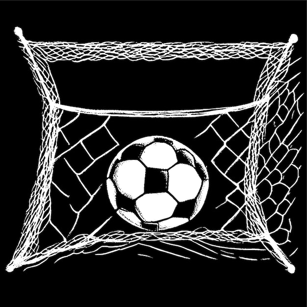 Soccer football ball in goal net