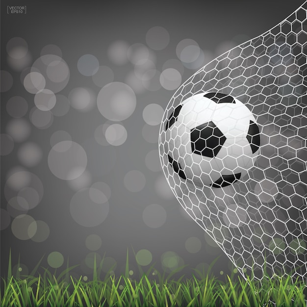 목표에 축구 축구 공입니다.