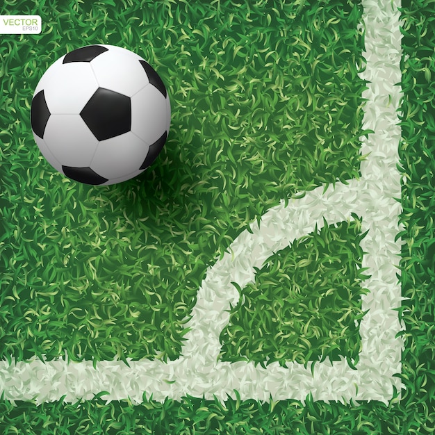 Soccer football ball on green grass background.