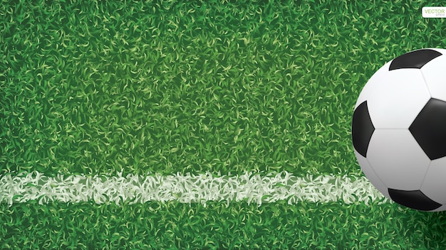 Soccer football ball on green grass field.