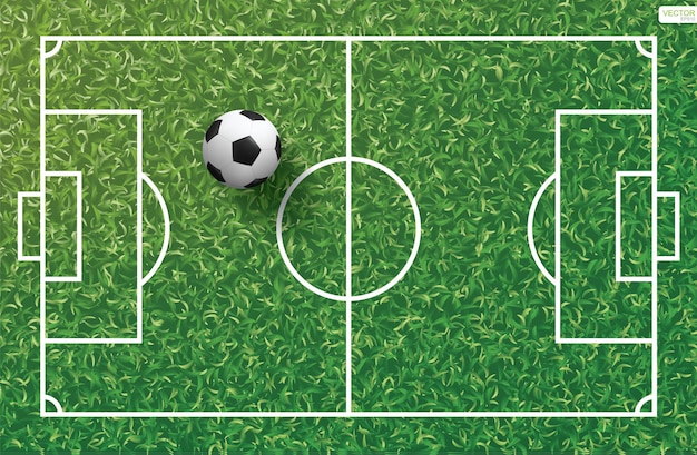 Soccer football ball on green grass of soccer field pattern and texture background. Vector illustration.