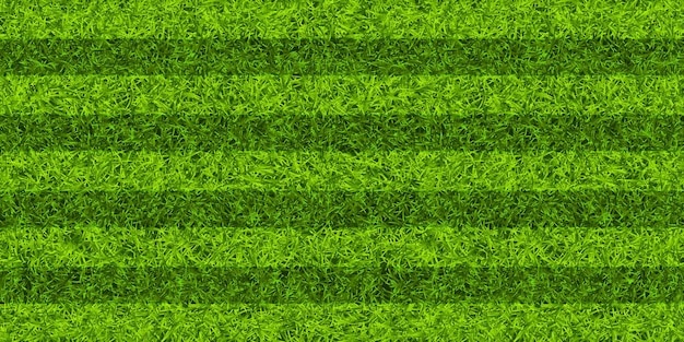 ストライプ付きの緑の芝生のサッカー場ストライップ付きのサッカー場の背景スポーツグラウンドスタジアム