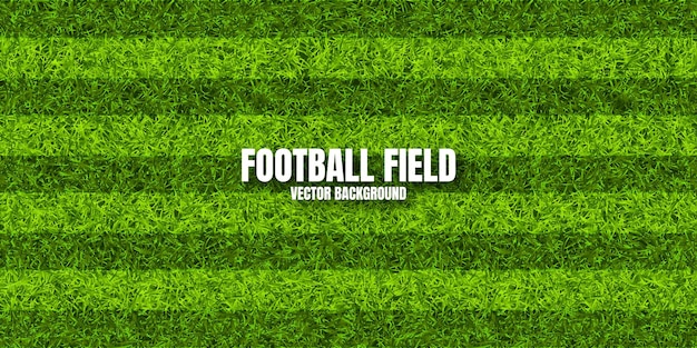 ストライプ付きの緑の芝生のサッカー場ストライップ付きのサッカー場の背景スポーツグラウンドスタジアム