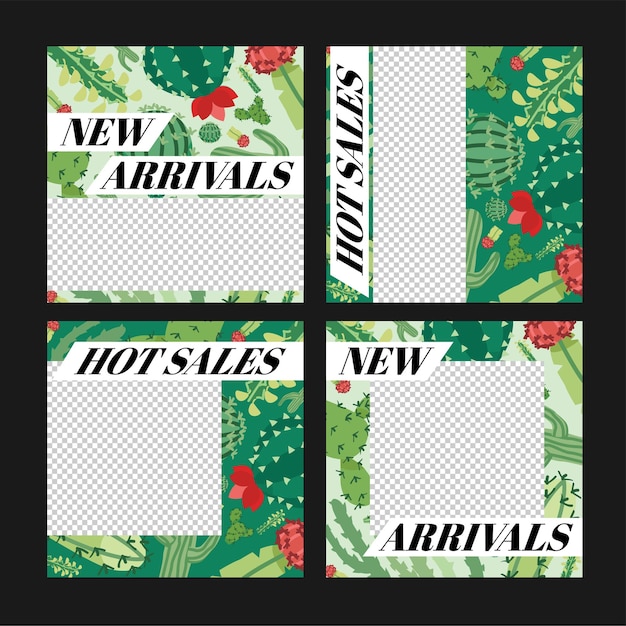 Social media design templates with cactus summer plant illustrations