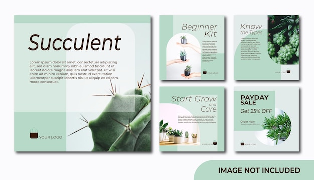 Vector social media post template for indoor plant succulent or any others related product