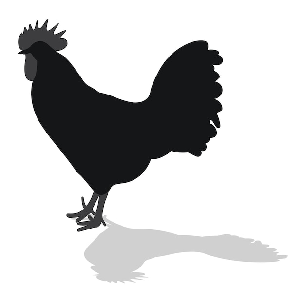 Sock cockerel rooster chicken hen chick position standing poultry silhouette hand drawn