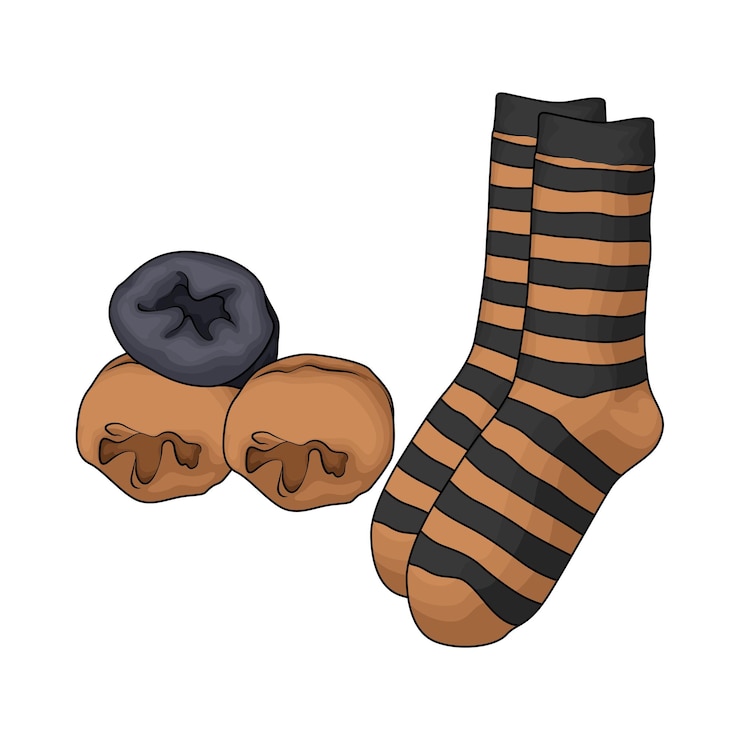 Vector sock illustration