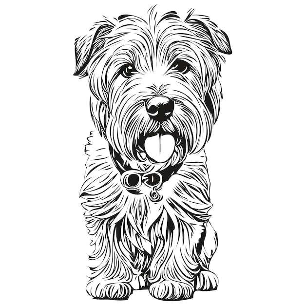 Vettore morbido rivestito wheaten terrier cane sagoma animale linea illustrazione animale domestico di razza realistico vettore disegnato a mano in bianco e nero