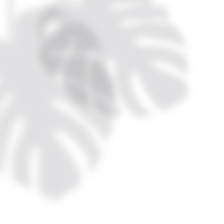 Vector soft drop shadow from the monstera leaves on a white background