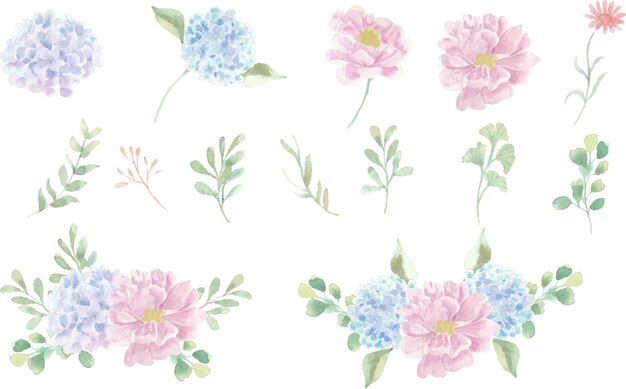 Vettore morbido fiore dell'acquerello di ortensia e rosa