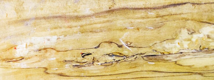 वेक्टर soft light brown wood texture background texture of wood background