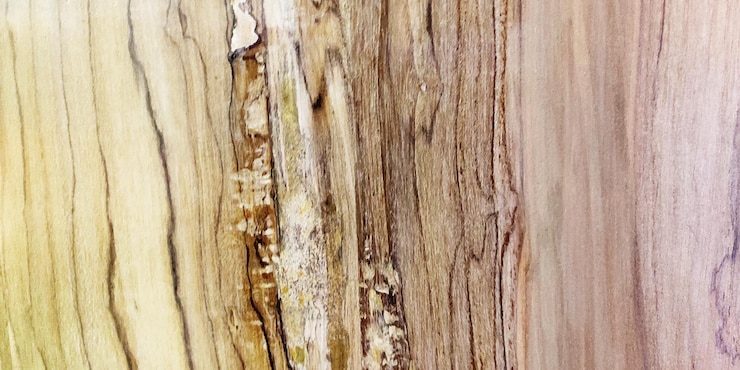 वेक्टर soft light brown wood texture background texture of wood background