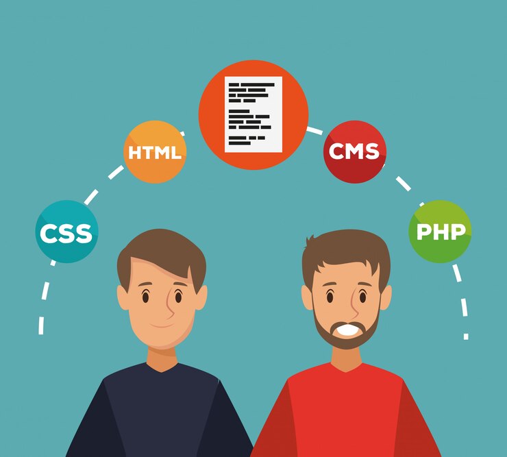 Vector software and programming